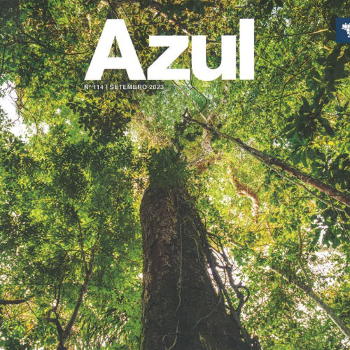 Revista Voto<br />
